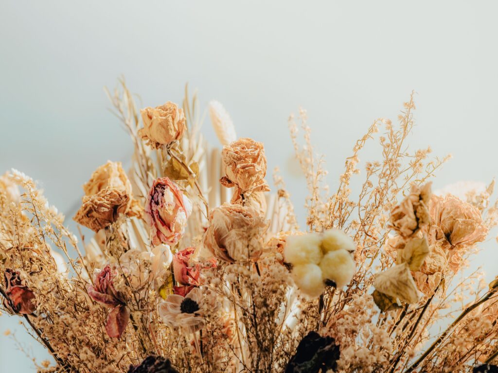 Dried flowers- home decor flowers