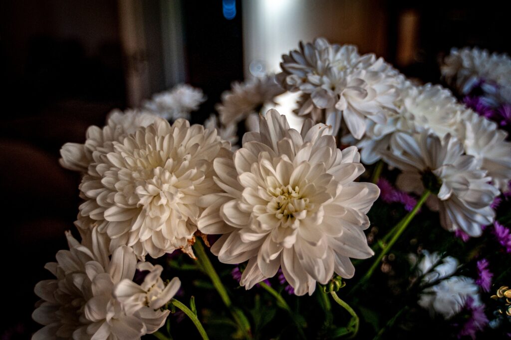 Flowers- home decor flowers
